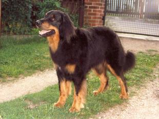 Otto vom Schondratal Otto vom Schondratal