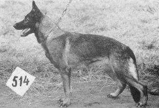 Mara von den zwei Steinen (DDR) Mara von den zwei Steinen (DDR)