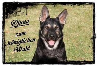 Djuna zum königlichen Wald Djuna zum königlichen Wald