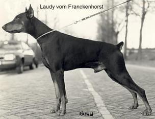 Laudy vom Franckenhorst Laudy vom Franckenhorst