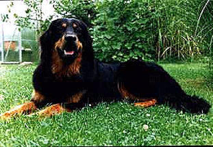Bardo von Ostorp Bardo von Ostorp