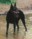 Bessy von Niederkassel