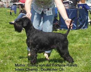 Sunny von der Fortuna-Ranch Sunny von der Fortuna-Ranch