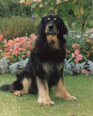 Cuno von der Cranichburg Cuno von der Cranichburg