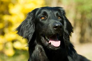 Emma aus dem Abenteuerland Emma aus dem Abenteuerland