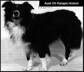 Kaiapoi Aranui Kaiapoi Aranui