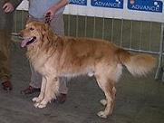 Athos (Siddi)