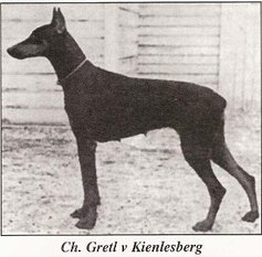 Gretel vom Kienlesberg Gretel vom Kienlesberg