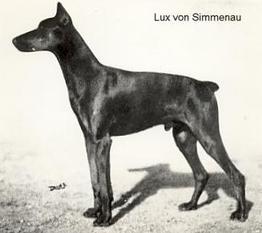 Lux von Simmenau Lux von Simmenau