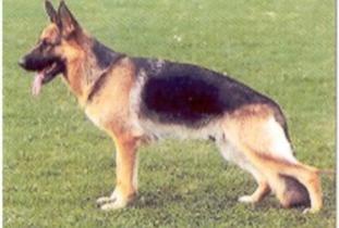 Heike von Tannenmeise Heike von Tannenmeise