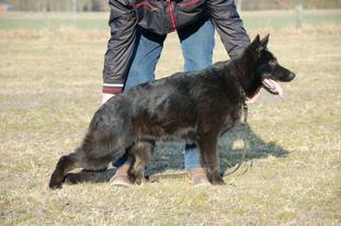 Clara vom Hofe Schumacher Clara vom Hofe Schumacher