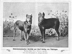 Gerhilde von Thüringen Gerhilde von Thüringen