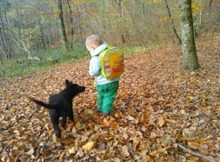 Lotte vom Wolfsdreieck Lotte vom Wolfsdreieck