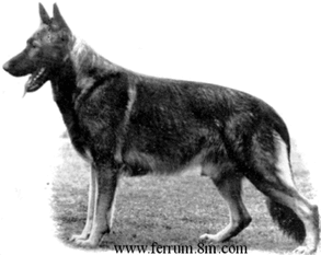 Cito von der Hermannsschleuse Cito von der Hermannsschleuse