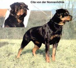Cita von der Nonnenhöhle Cita von der Nonnenhöhle
