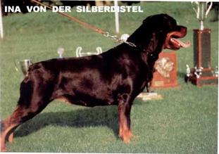 Ina von der Silberdistel Ina von der Silberdistel