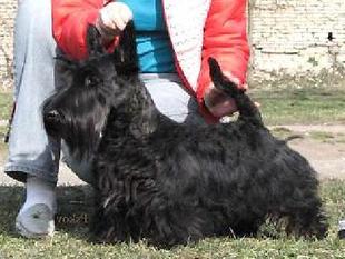 Zvezdnoe Show Cheriti To Monax Zvezdnoe Show Cheriti To Monax