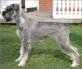 Yfenni SKK 25461/2001 Yfenni SKK 25461/2001