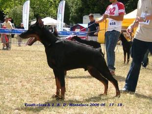 Tom-Dober Hagi Tom-Dober Hagi