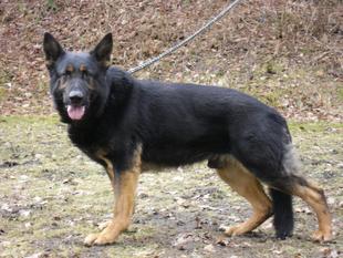 Dean von der Kraftsdorfer Flur Dean von der Kraftsdorfer Flur