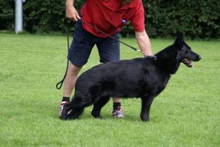 Xickie von den schwarzen Seeperlen Xickie von den schwarzen Seeperlen