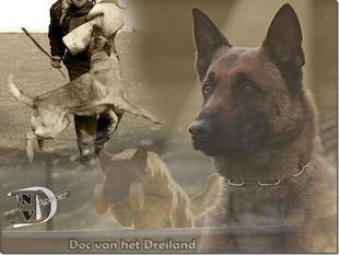 Doc van het Dreiland Doc van het Dreiland