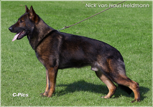 Nick von Haus Heldmann Nick von Haus Heldmann
