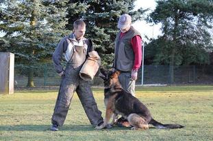 Brix vom Wolfstanz Brix vom Wolfstanz