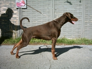 Greta von Bullerbü Greta von Bullerbü