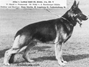 Atlas vom Lechtal Atlas vom Lechtal