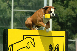 Unkas vom Rottland Unkas vom Rottland