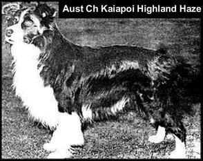 Kaiapoi Highland Haze Kaiapoi Highland Haze