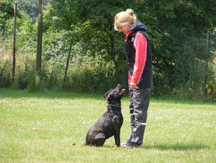 Akira (Blümel) Akira (Blümel)