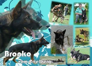 Bronko vom Prielberg Bronko vom Prielberg