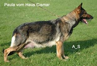 Paula vom Haus Cismar Paula vom Haus Cismar