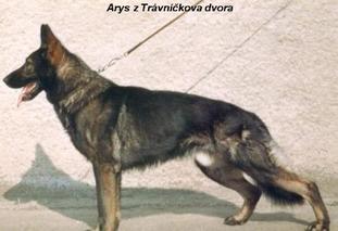 Arys z Travnickova dvora CS Arys z Travnickova dvora CS