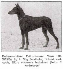Pellavakasken Vava Pellavakasken Vava