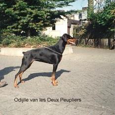 Odylle les Deux Peupliers Odylle les Deux Peupliers