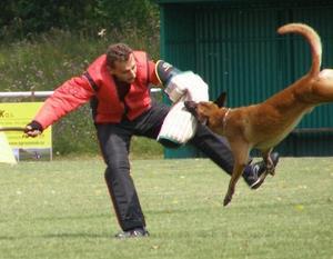 Vito van de Lobo Hoeve Vito van de Lobo Hoeve