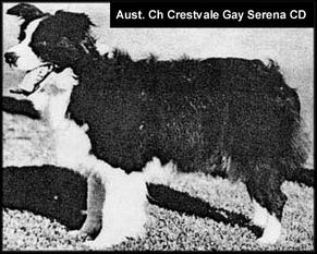 Crestvale Gay Serena Crestvale Gay Serena