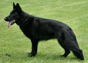 Nina von der Salztal-Höhe Nina von der Salztal-Höhe