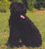 Bessy Jenny Wiske Zielebacherhof Bessy Jenny Wiske Zielebacherhof
