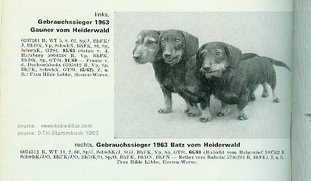 Gauner vom Heider Wald Gauner vom Heider Wald