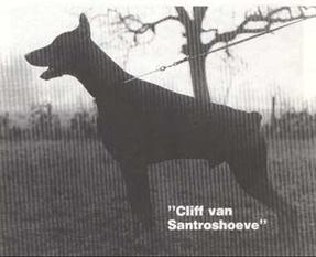 Cliff van Santroshoeve Cliff van Santroshoeve