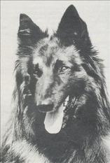 Max van Astrita-Hof Max van Astrita-Hof