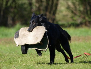 Alaia Black z Kovárny Alaia Black z Kovárny