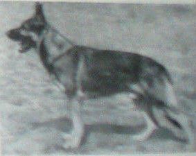 Ajax von La Plata Ajax von La Plata