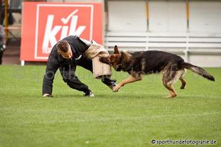Aik vom Linzgau Aik vom Linzgau