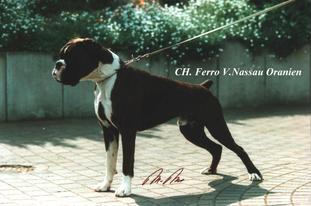 Ferro von Nassau-Oranien Ferro von Nassau-Oranien