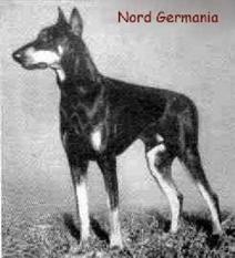 Nord Germania Nord Germania